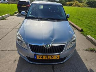 Sloopauto Skoda Fabia Fabia II Combi, Combi 5-drs, 2007 / 2014 1.2 TDI 12V Greenline 2010/9