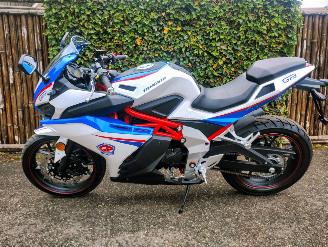 CFMoto  TR MOTOR GP1 picture 9
