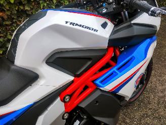 CFMoto  TR MOTOR GP1 picture 6