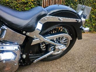 Harley-Davidson  FLSTNI Softail Deluxe Special picture 19