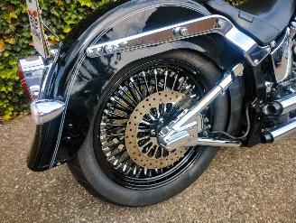 Harley-Davidson  FLSTNI Softail Deluxe Special picture 11