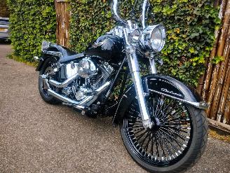 Harley-Davidson  FLSTNI Softail Deluxe Special picture 5