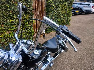 Harley-Davidson  FLSTNI Softail Deluxe Special picture 17