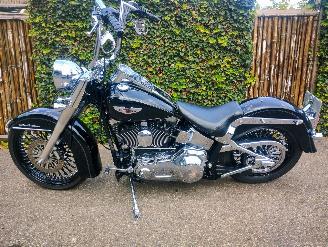 Harley-Davidson  FLSTNI Softail Deluxe Special picture 13