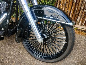 Harley-Davidson  FLSTNI Softail Deluxe Special picture 7