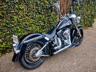 Harley-Davidson  FLSTNI Softail Deluxe Special picture 12