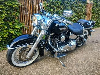 Harley-Davidson  Softail Deluxe FLSN picture 9