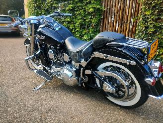 Harley-Davidson  Softail Deluxe FLSN picture 13
