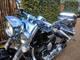Harley-Davidson  Softail Deluxe FLSN picture 11