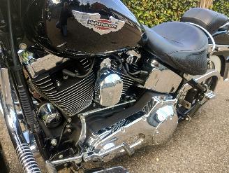 Harley-Davidson  Softail Deluxe FLSN picture 12