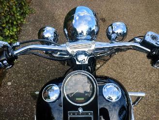 Harley-Davidson  Softail Deluxe FLSN picture 17
