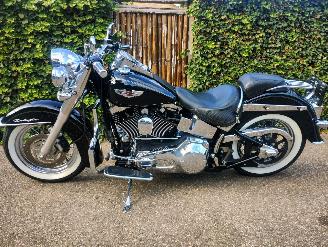 Harley-Davidson  Softail Deluxe FLSN picture 8