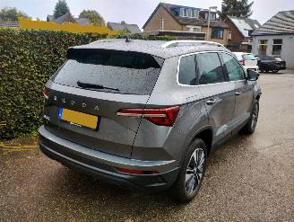 Skoda Karoq 1.5 TSI ACT Business Edition Plus picture 2