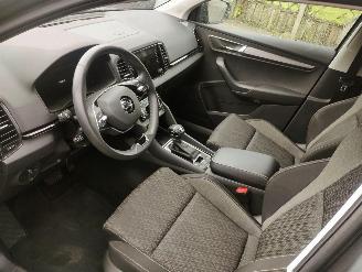 Skoda Karoq 1.5 TSI ACT Business Edition Plus picture 7