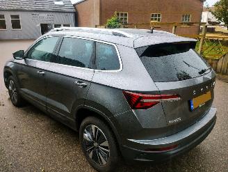 Skoda Karoq 1.5 TSI ACT Business Edition Plus picture 3
