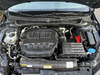 Volkswagen Polo 2.0 TSI GTI  AUTOMAAT PANORAMA picture 27