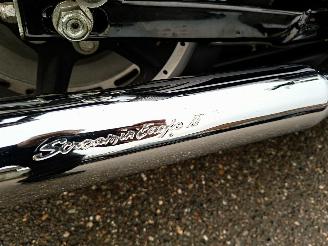 Harley-Davidson XL 1200 SPORTSTER CUSTOM 5HD picture 9