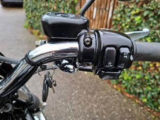 Harley-Davidson XL 1200 SPORTSTER CUSTOM 5HD picture 22