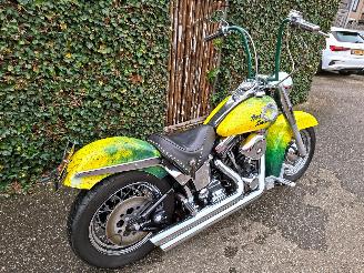 Harley-Davidson Heritage softtail FLSTC Heritage Classic picture 8