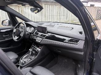 BMW 2-serie 225xe iPerformance High Executive AUTOMAAT 174PK LEER picture 14