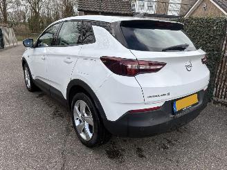 Opel Grandland 1.6 TURBO PLUG IN HYBRID AUTOMAAT 222PK picture 6