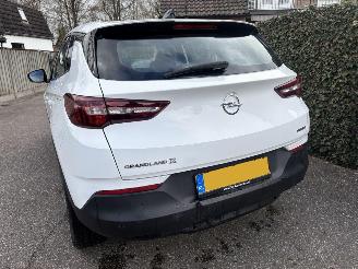 Opel Grandland 1.6 TURBO PLUG IN HYBRID AUTOMAAT 222PK picture 8