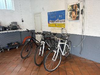 Koga-Miyata  SPORT picture 2