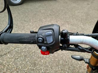 Triumph  SPEED 400 picture 19