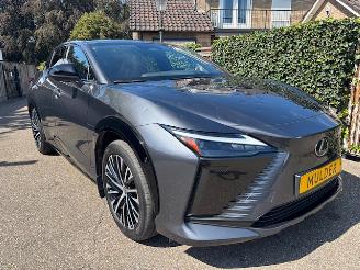 Lexus RZ 450e Executive 4x4 AWD 320 PK  71 kWh  PANORAMA picture 2