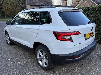 Skoda Karoq 1.0 TSI Business SPORT AUTOMAAT picture 9