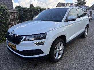 Skoda Karoq 1.0 TSI Business SPORT AUTOMAAT picture 2