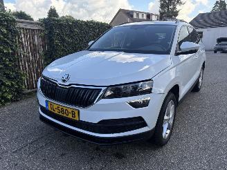 Skoda Karoq 1.0 TSI Business SPORT AUTOMAAT picture 3