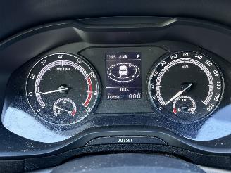 Skoda Karoq 1.0 TSI Business SPORT AUTOMAAT picture 16