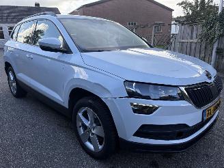 Skoda Karoq 1.0 TSI Business SPORT AUTOMAAT picture 5