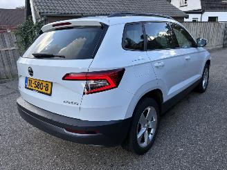 Skoda Karoq 1.0 TSI Business SPORT AUTOMAAT picture 6