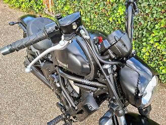 Kawasaki  VULCAN S BAD ASS EDITION ARROW picture 3