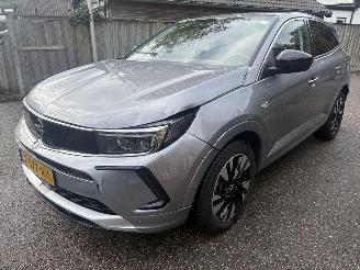 Opel Grandland 1.6 Turbo Plug-In Hybrid 180 Pk Automaat picture 7