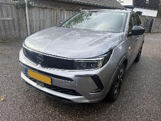 Opel Grandland 1.6 Turbo Plug-In Hybrid 180 Pk Automaat picture 8