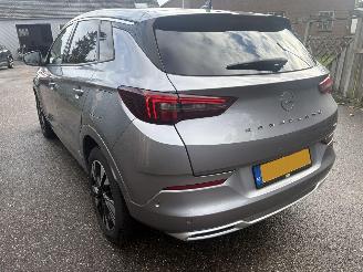 Opel Grandland 1.6 Turbo Plug-In Hybrid 180 Pk Automaat picture 5