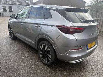 Opel Grandland 1.6 Turbo Plug-In Hybrid 180 Pk Automaat picture 6