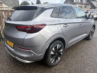 Opel Grandland 1.6 Turbo Plug-In Hybrid 180 Pk Automaat picture 3