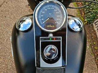 Harley-Davidson  Fat Boy Low Special FLSTFB 103 (5HD) picture 19