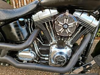 Harley-Davidson  Fat Boy Low Special FLSTFB 103 (5HD) picture 3