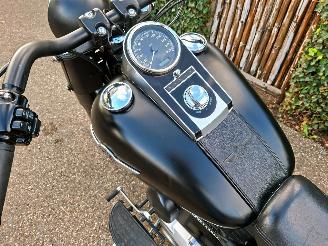 Harley-Davidson  Fat Boy Low Special FLSTFB 103 (5HD) picture 18