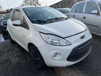 Ford Ka 1.2 Hatchback  Benzine 1.242cc 51kW (69pk) FWD 2008-10/2016-05 (RU8) 169A4000; EURO4 picture 3