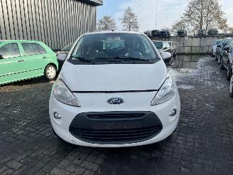 Damaged car Ford Ka 1.2 Hatchback  Benzine 1.242cc 51kW (69pk) FWD 2008-10/2016-05 (RU8) 169A4000; EURO4 2009/11