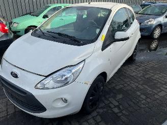 Ford Ka 1.2 Hatchback  Benzine 1.242cc 51kW (69pk) FWD 2008-10/2016-05 (RU8) 169A4000; EURO4 picture 8