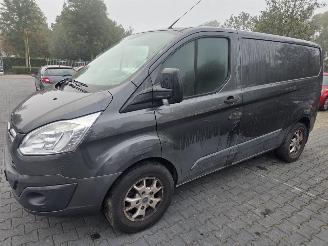 Ford Custom 2.0 TDCi 16V Eco Blue 105 Bestel  Diesel 1.995cc 77kW (105pk) picture 3
