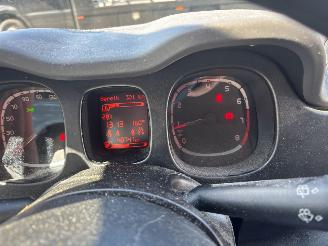 Fiat Panda  picture 16