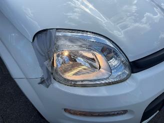 Fiat Panda  picture 9